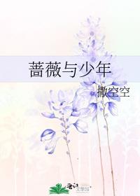 蔷薇少女小说红与黑_蔷薇与少年