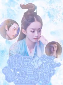 魏婴蓝湛《陈情令：惟愿情深只是你》_陈情令：惟愿情深只是你