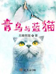 小说《青鸟与蓝猫》TXT下载_青鸟与蓝猫