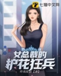 小说《女总裁的护花狂兵》TXT下载_女总裁的护花狂兵