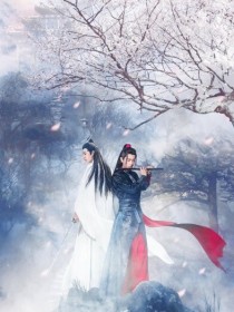 小说《金莲版：陈情令》TXT百度云_金莲版：陈情令