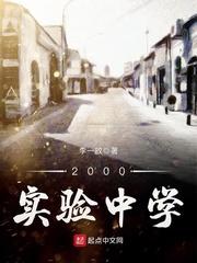 男主女主是白康,浩磊,老卢的小说是什么_2000，实验中学