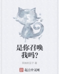 小说《是你召唤我吗？》TXT下载_是你召唤我吗？