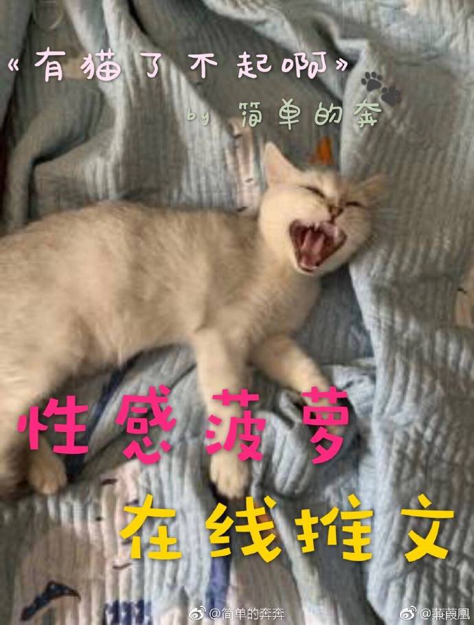 黎卫涵童霖《有猫了不起啊》_有猫了不起啊