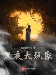 小说《黑夜大玩家》TXT下载_黑夜大玩家