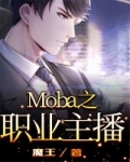 moba职业主播小说_Moba之职业主播
