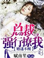 男主女主是萧慕北,宋晓,萧慕的小说是什么_婚迷不醒，总裁强行撩我!