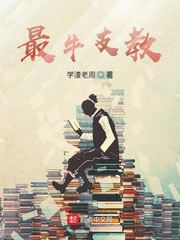 男主女主是张昊,刘磊,张琪的小说是什么_最牛支教