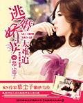 男主女主是紫怡,刘妈,夏雪瑶的小说是什么_逃婚娇妻太难追