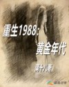 男主女主是秋香,韩福通,灵儿的小说是什么_重生1988：黄金年代