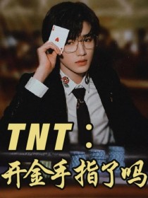 小说《TNT：开金手指了吗？》TXT下载_TNT：开金手指了吗？