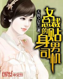男主女主是武迪,张欣兰,苏婷婷的小说是什么_女总裁的贴身男司机