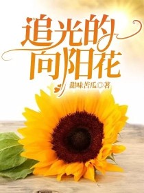 小说《追光的向阳花》TXT百度云_追光的向阳花