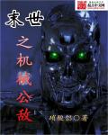 男主女主是思思,杨珊玲,大熊的小说是什么_末世之机械公敌
