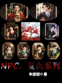 小说《NPC：复仇系列》TXT下载_NPC：复仇系列