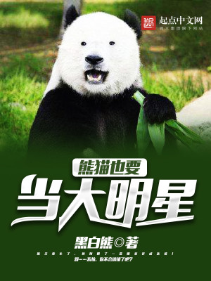 大熊猫明星_熊猫也要当大明星