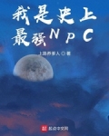 小说《我是史上最强NPC》TXT百度云_我是史上最强NPC