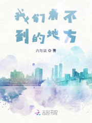 男主女主是程晗,萧嵘峥,朗娟的小说是什么_我们看不到的地方