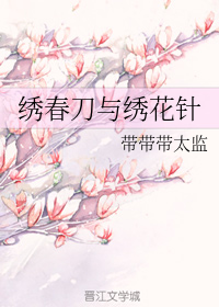 男主女主是陆长寅,李氏,程方南的小说是什么_绣春刀与绣花针