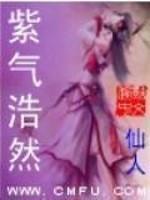 男主女主是司空,紫光,万灵城的小说是什么_紫气浩然