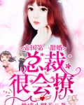 男主女主是苏里里,赵景雪,顾芸芝的小说是什么_帝国第一甜婚：总裁，很会撩