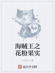 海贼王之粉碎果实epub_海贼王之花粉果实