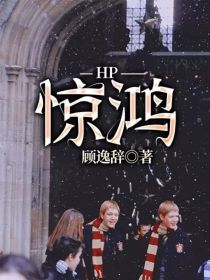 小说《HP：惊鸿》TXT百度云_HP：惊鸿