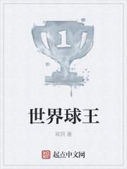 小说《世界球王》TXT下载_世界球王