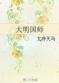 小说《大明国师》TXT百度云_大明国师