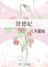 男主女主是赵宗冕,苏舒燕,苏霁卿的小说是什么_贤德妃