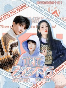 小说《TNT：爱恋不朽》TXT百度云_TNT：爱恋不朽