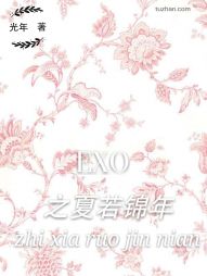 小说《EXO之夏若锦年》TXT下载_EXO之夏若锦年