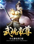 小说《武魂帝尊》TXT下载_武魂帝尊