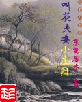 小说《叫花夫妻小庄园》TXT下载_叫花夫妻小庄园