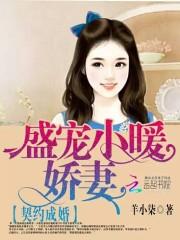 盛宠契约妻全文免费版_契约成婚：盛宠小暖娇妻