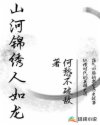 '一阵风呼啸吹过，宁远城头上灰底白纹，绣着黑色“秦”字图样的军旗猎猎作响。北地的秋日就是如此多风，一_山河锦绣人如龙