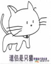 小说《道侣是只猫》TXT下载_道侣是只猫
