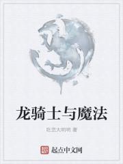 有关龙骑士与魔法师的小说_龙骑士与魔法