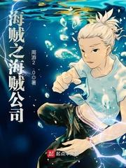 海贼小说之女主是海军的公主_海贼之海贼公司