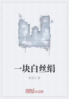 男主女主是杨辉,肖艳梅,李佳琪的小说是什么_一块白丝绢