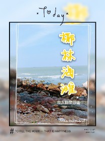 男主女主是刘阳,李亮,陈雪的小说是什么_椰林海滩