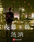 小说《夜幕下的涟漪》TXT百度云_夜幕下的涟漪