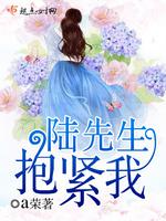 男主女主是傅锦鸿,夏兰,赵安勋的小说是什么_陆先生，抱紧我