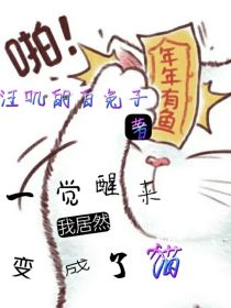 小说《一觉醒来我居然变成了猫》TXT百度云_一觉醒来我居然变成了猫