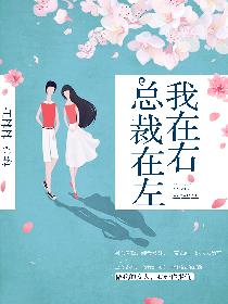 男主女主是欢欢,叶鑫,沈轩的小说是什么_总裁在左我在右