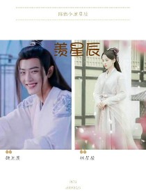 陈情令:羡星辰_陈情令:羡星辰