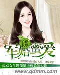男主女主是季邵峰,佟丽,傅铭齐的小说是什么_军婚蜜爱