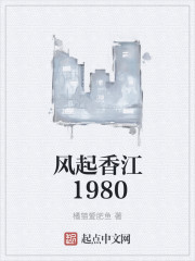 男主女主是赵雄,王晶,赵雅芝的小说是什么_风起香江1980