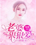 男主女主是萧若羽,叶美琪,褚凌川的小说是什么_宠婚一百分：老婆，狠狠爱
