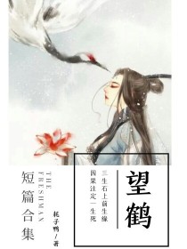 男主女主是胡筱,苏文彦,楚瑶的小说是什么_望鹤